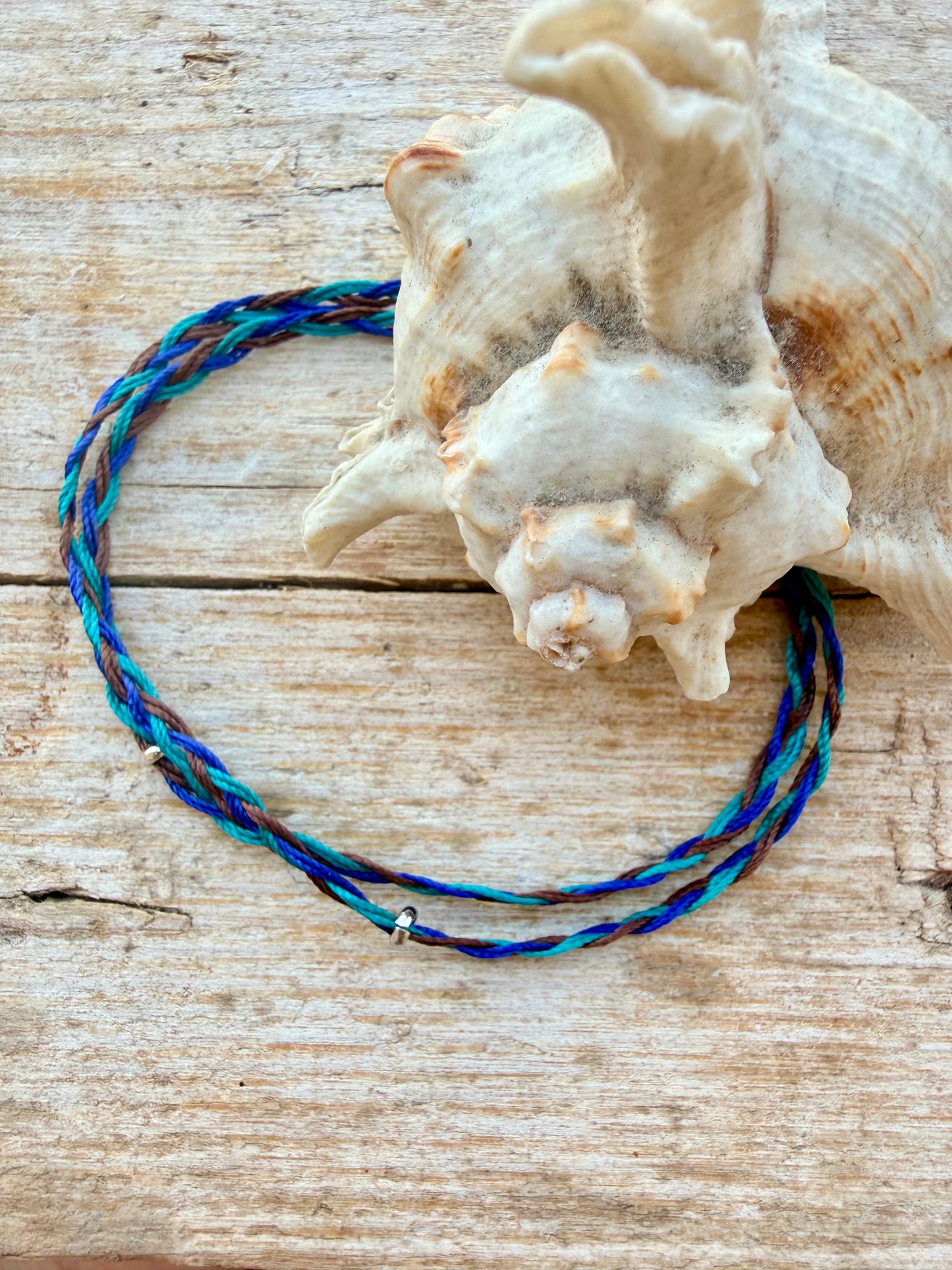 CAVIGLIERA OCEANO